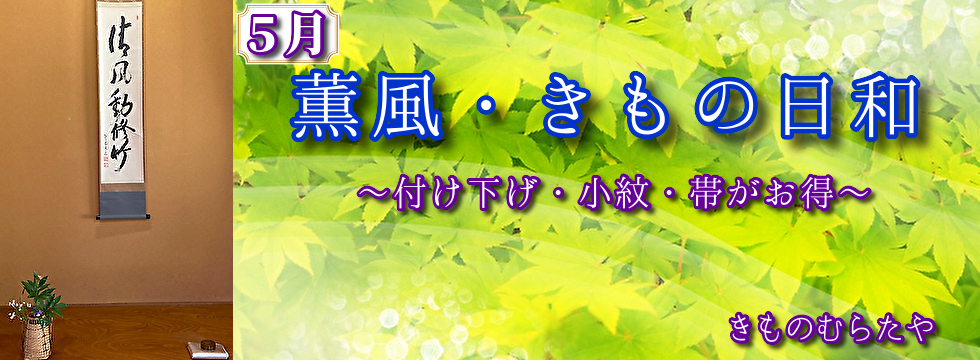 薫風、きもの日和1 薫風、きもの日和1